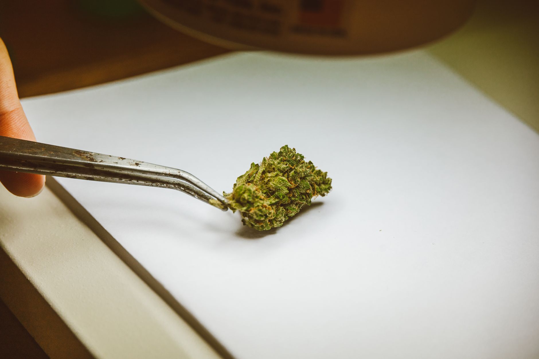 Why Curaleaf Holdings Inc. stock is sliding today