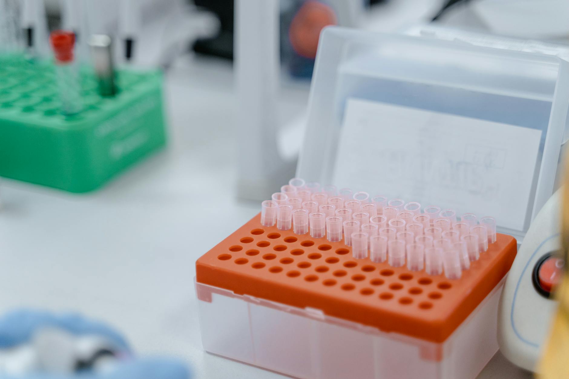 Roche Holding AG Gains 3% in Last Session as Market Reacts to Strong Demand