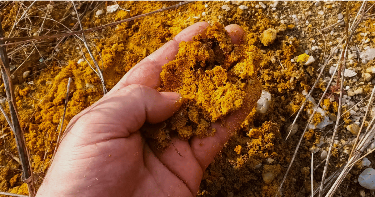 NovaGold Climbs 13% as Investors Pile Into Gold Developers