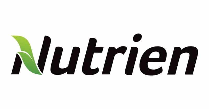 Best Stocks To Buy For Beginners In Canada