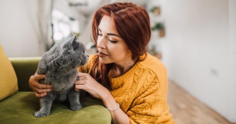 Cost of Owning a Cat in Ontario