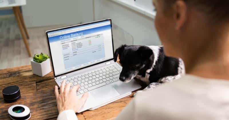 Features and Benefits: Koho Savings Account