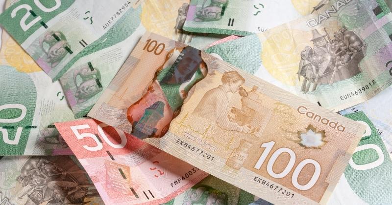 How Much Money Can You Make With Pinecone Research Canada?