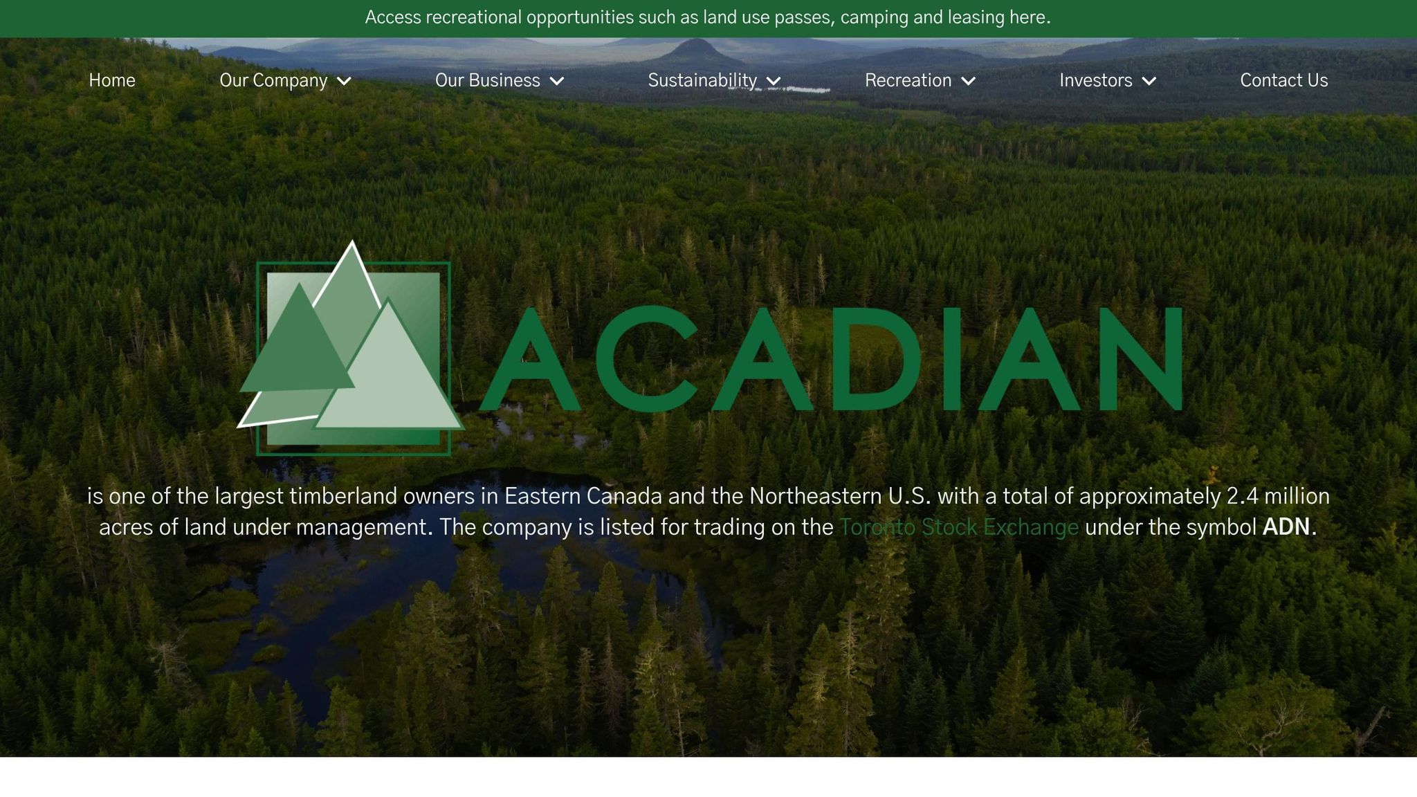 Acadian Timber